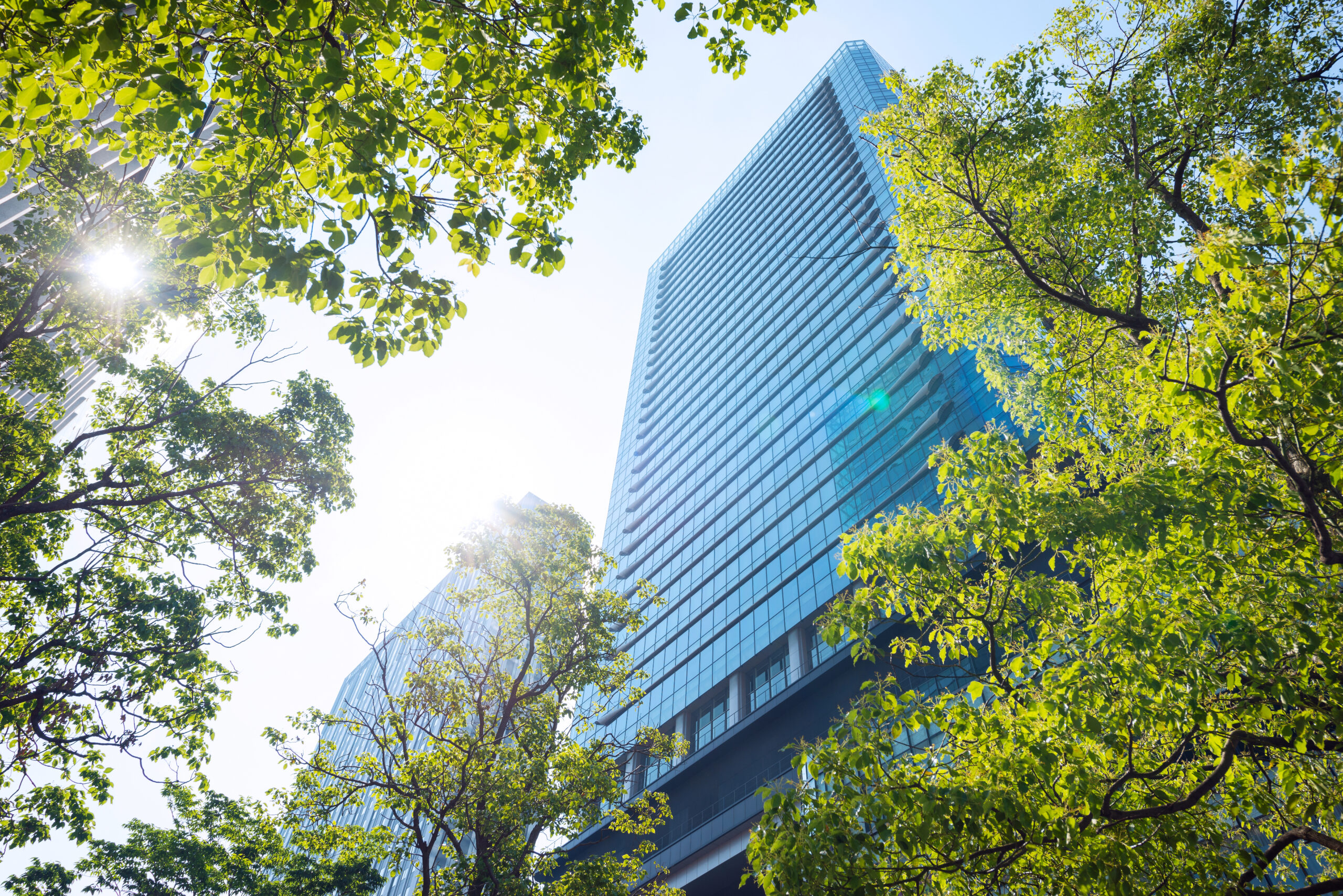 Environmental Responsibility